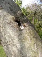 IMGP5959.webp