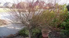 K800_Frühling 2014 003.webp