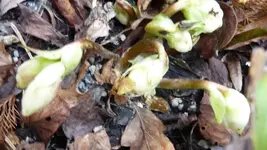 K800_Frühling 2014 005.webp