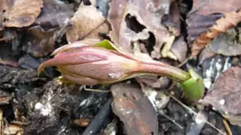 K800_Frühling 2014 006.webp