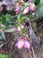014_576x768.webp