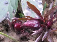 022_1024x768.webp