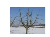 Präsentation1.webp