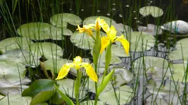 DSCN2796.webp