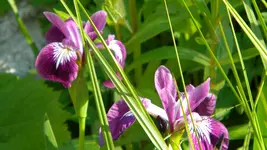 DSCN4818.webp