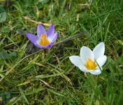 DSC_0503.webp