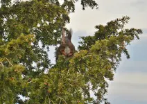 DSC_0215.webp