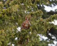 DSC_0216.webp
