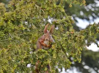 DSC_0217.webp