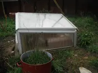 DSCF7562.webp