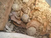 DSCF7568.webp