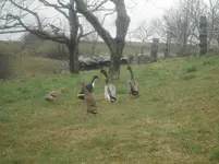 DSCF7574.webp