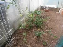 DSCF7582.webp
