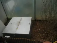 DSCF7581.webp