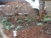 DSCF7584.webp