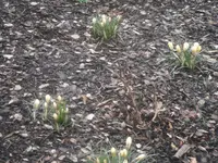 DSCF7585.webp
