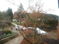 DSCF7586.webp