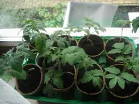 DSCF7596.webp