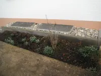 DSCF7583.webp