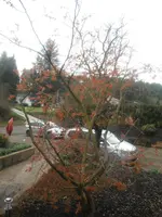 DSCF7587.webp