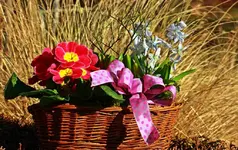 Frühlingsgruss_März_1024.webp