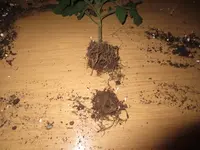 K1600_IMG_0124.webp