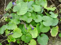 febr05 002.webp
