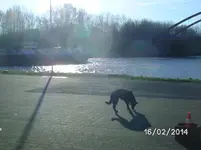 Sonne (4).webp