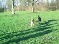 Anka (3).webp