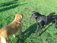 Anka (4).webp