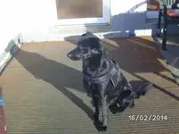 Anka (5).webp