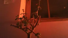 Bild003.webp