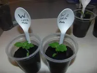 2014-02-23 Winzig.webp