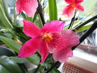 IMG_6336.webp