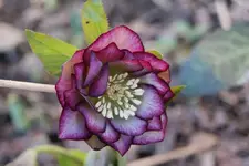 DSC08164.webp