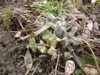 CIMG5231.webp