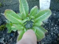 CIMG5328.webp