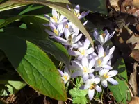 SAM_3021.webp