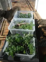 DSCF7605.webp