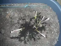DSCF7608.webp