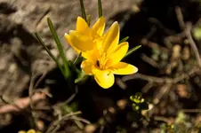 Stg--1017.webp