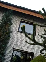 Furchtbar 001.webp