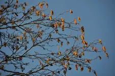 DSC_9439.webp