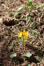 IMG_1893.webp