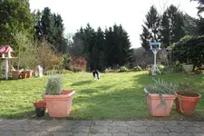 IMG_1912.webp