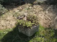 DSCN0760.webp