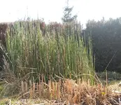 DSCN0761.webp