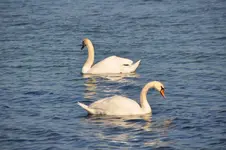 DSC_9714.webp