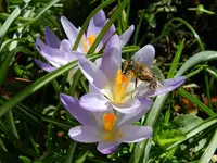 DSCN7789.webp