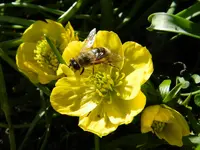 DSCN7807.webp